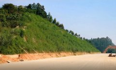 内蒙古边坡绿化工程