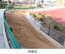 安徽宁国开发区实验学校边坡绿化项目