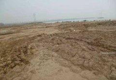 上海某度假区土壤改良项目