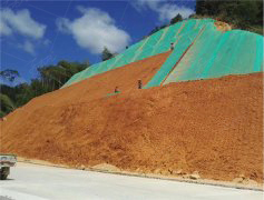 湖北某高速公路路段边坡绿化工程