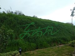 赣州兴国某高铁站边坡绿化项目