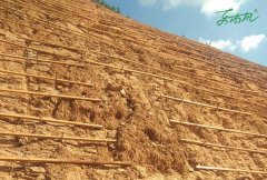 景德镇直升机研究院边坡项目