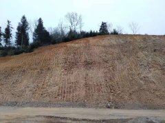 金寨巢湖路桥公路边坡绿化项目