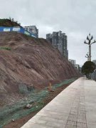 四川某公路边坡绿化项目