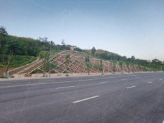 重庆云阳内环公路边坡复绿项目