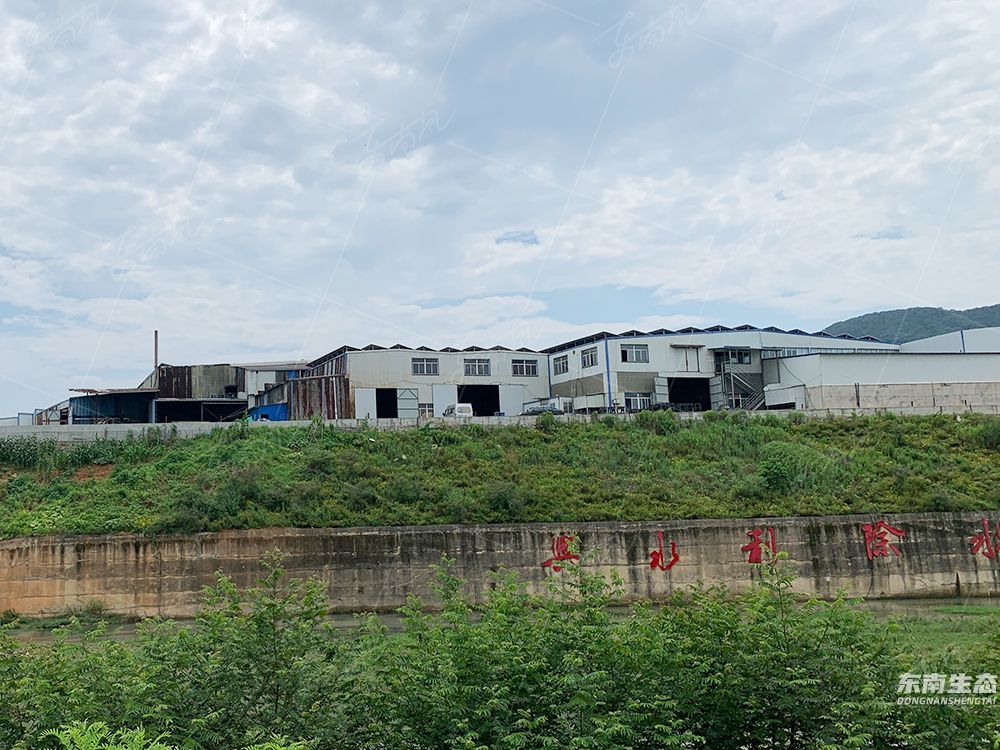 SPF喷播施工现场与植被生长效果