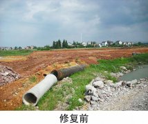 四川南充某地固废覆绿工程