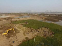 江西南昌某工业开发区覆绿工程